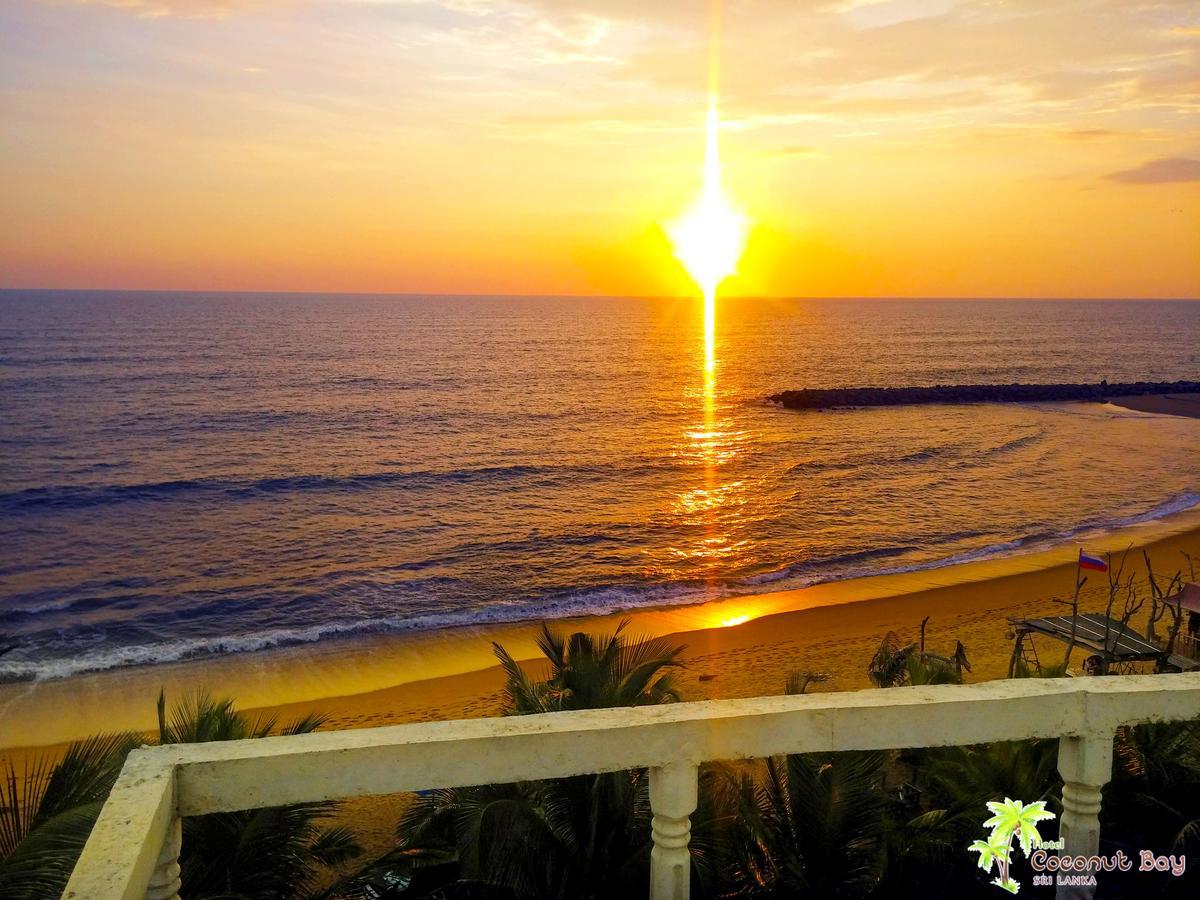 Hotel Coconut Bay Калутара Екстер'єр фото